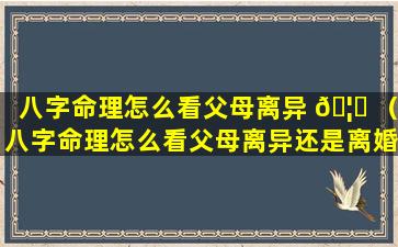 八字命理怎么看父母离异 🦟 （八字命理怎么看父母离异还是离婚）